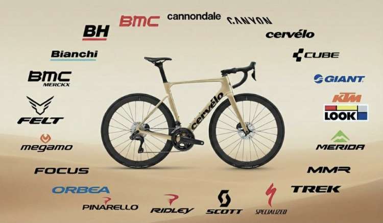 10 Bicicletas carbono con Ultegra Di2