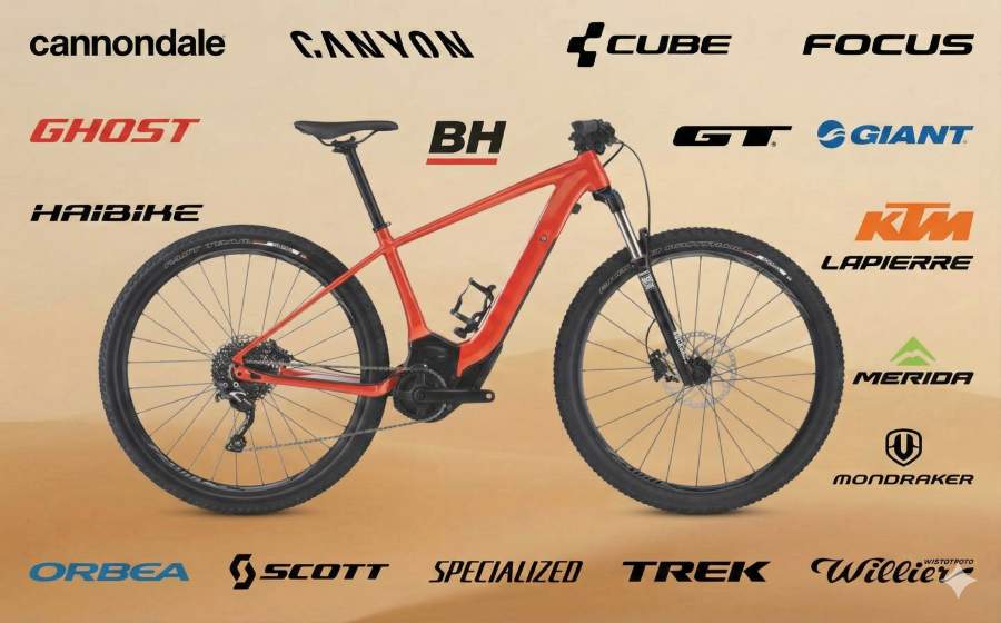 Bicicletas de montaña eléctricas rígidas